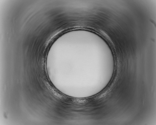 X0000100480831200806130730