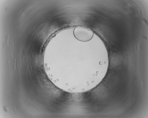 X0000100480832200806130730