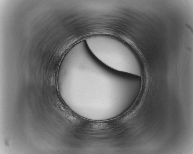X0000100480833200806130730