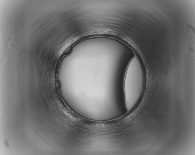 X0000100480834200806130731