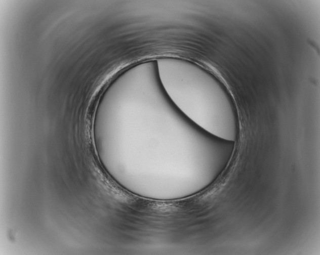 X0000100480835200806130731