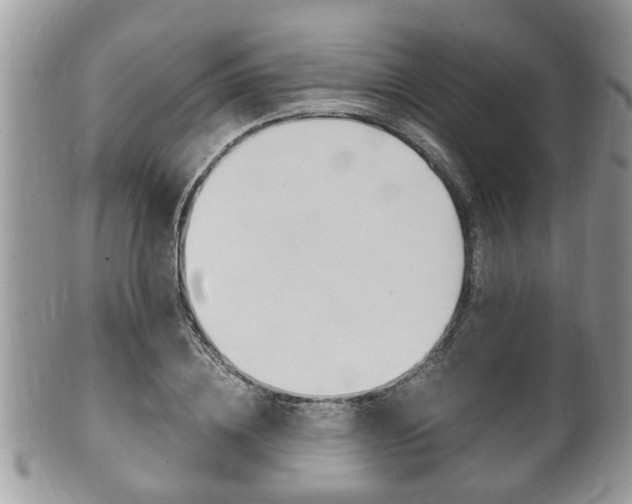 X0000100480836200806130731