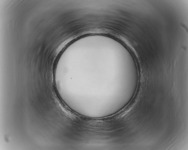 X0000100480837200806130731