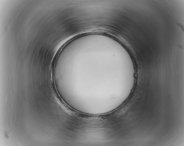 X0000100480838200806130731