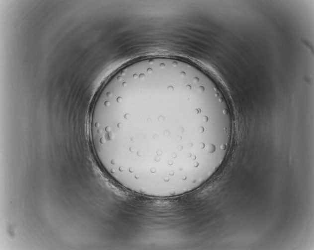 X0000100480839200806130731