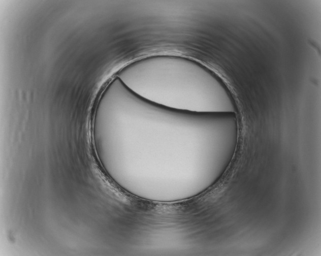 X0000100480840200806130731