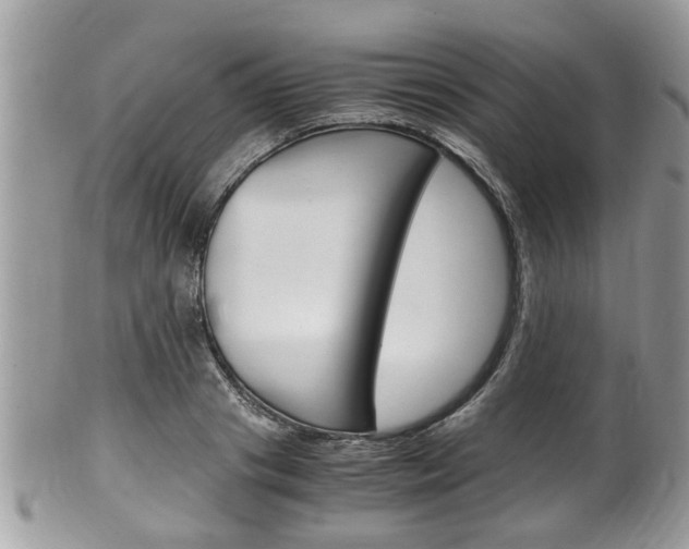 X0000100480841200806130731