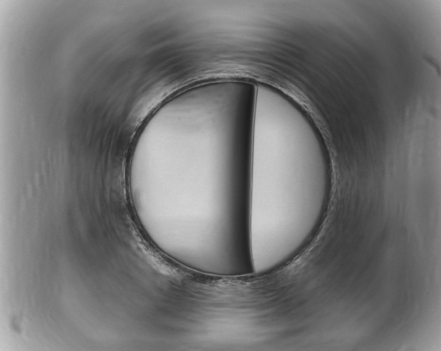 X0000100480842200806130731