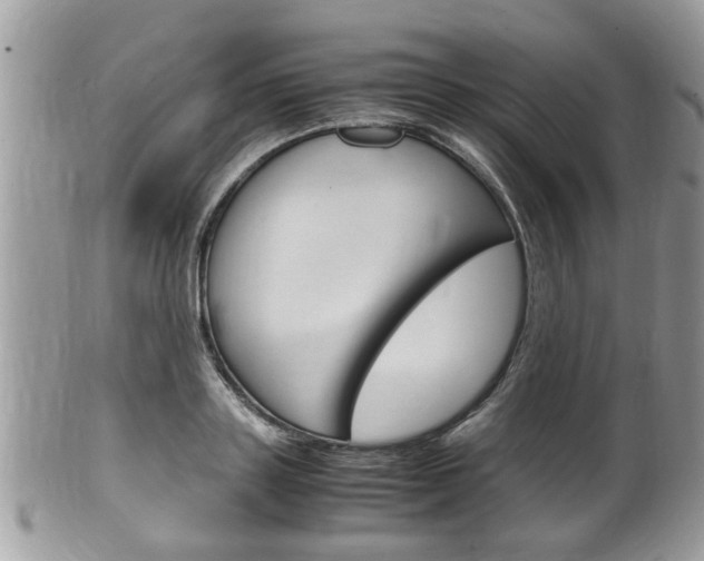 X0000100480843200806130731