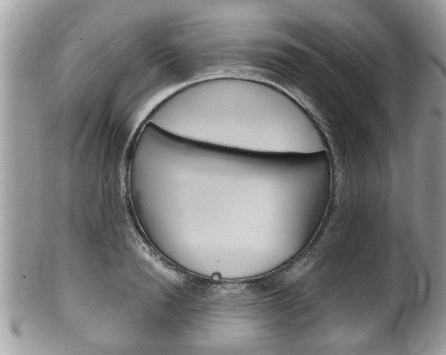 X0000100480846200806130731