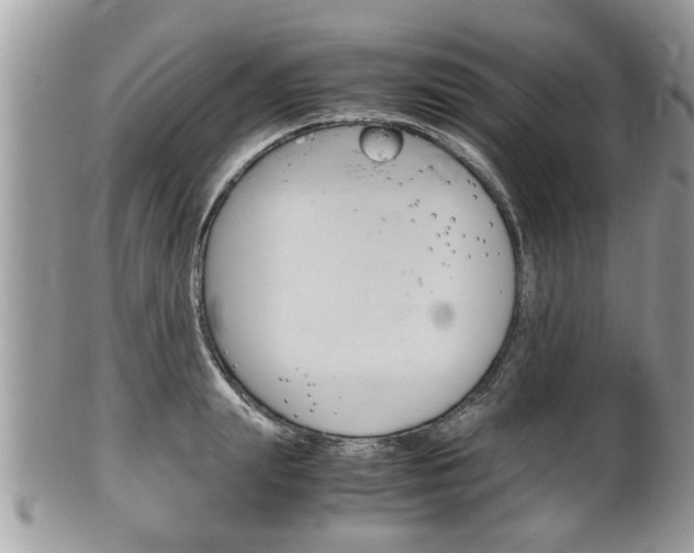 X0000100480847200806130731