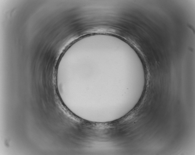 X0000100480848200806130731
