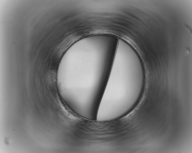 X0000100480849200806130731