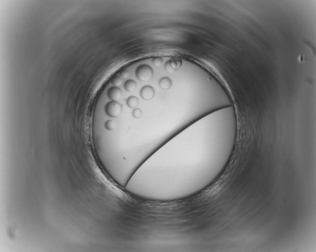 X0000100480851200806130731
