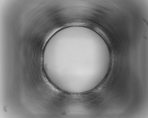 X0000100480852200806130731