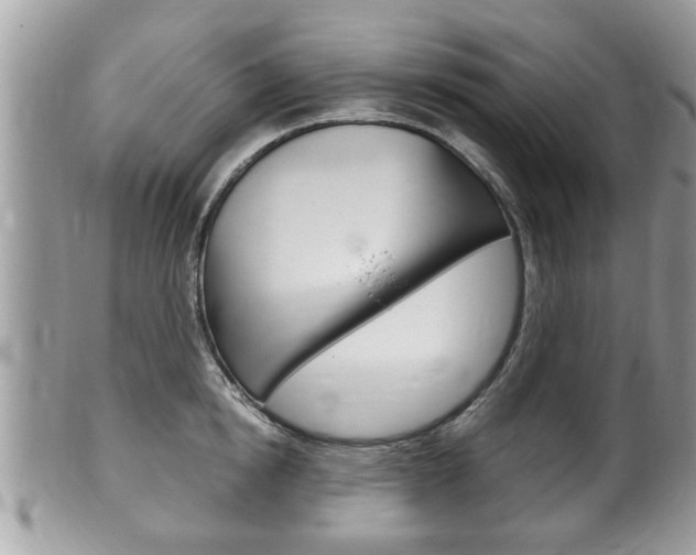 X0000100480854200806130731