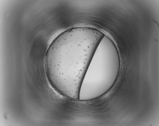 X0000100480855200806130731