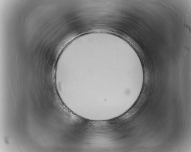 X0000100480856200806130731