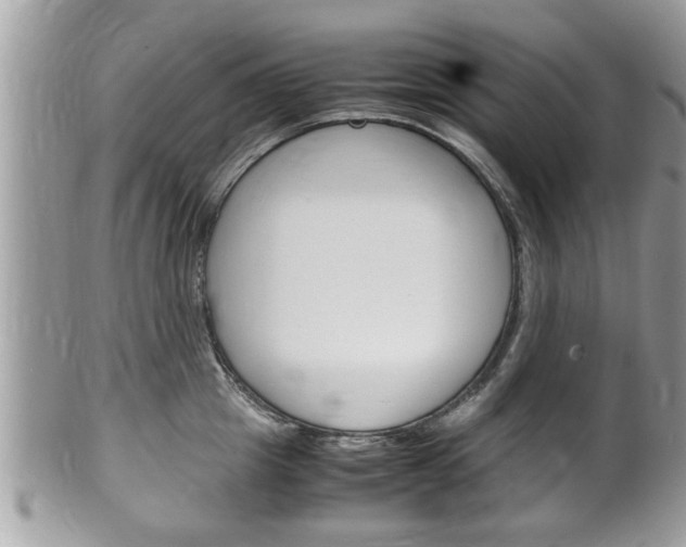 X0000100480857200806130731