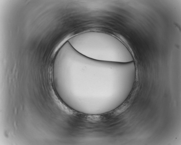 X0000100480859200806130731