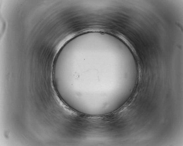 X0000100480861200806130731