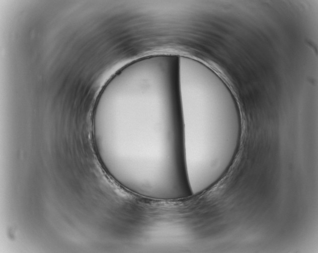 X0000100480862200806130731