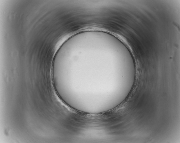 X0000100480863200806130731