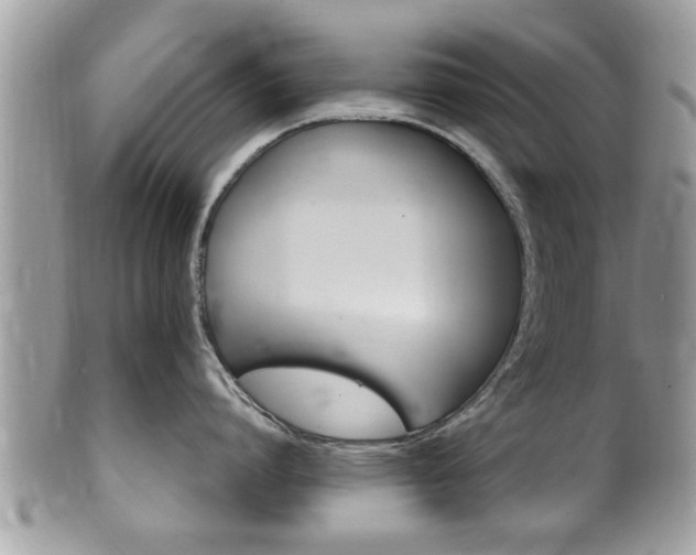 X0000100480864200806130731