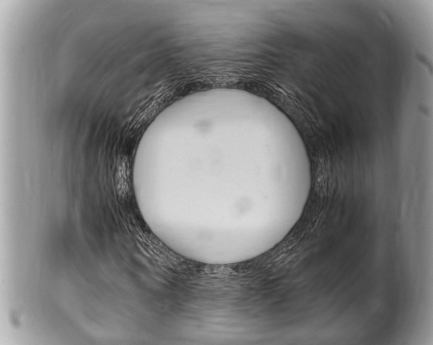 X0000100480866200806130730