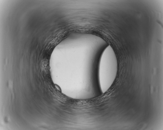 X0000100480867200806130730