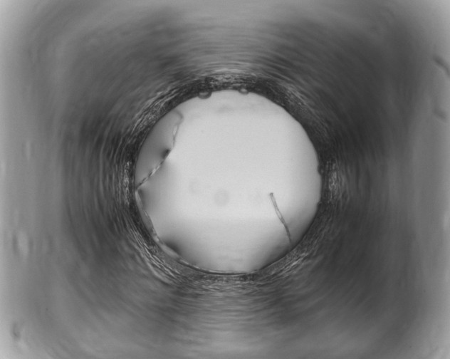 X0000100480868200806130730