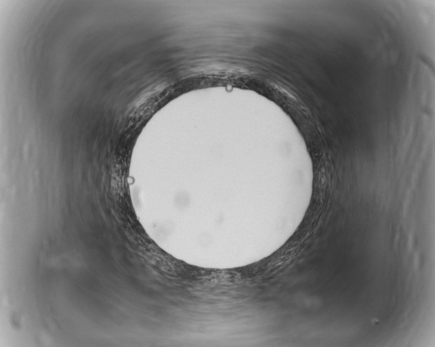 X0000100480869200806130730