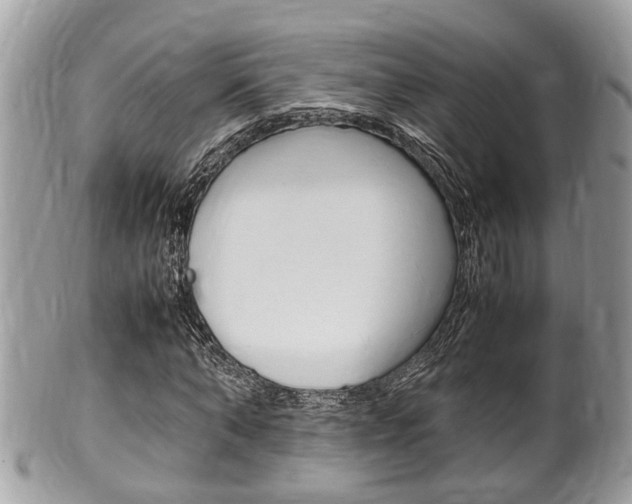 X0000100480870200806130730