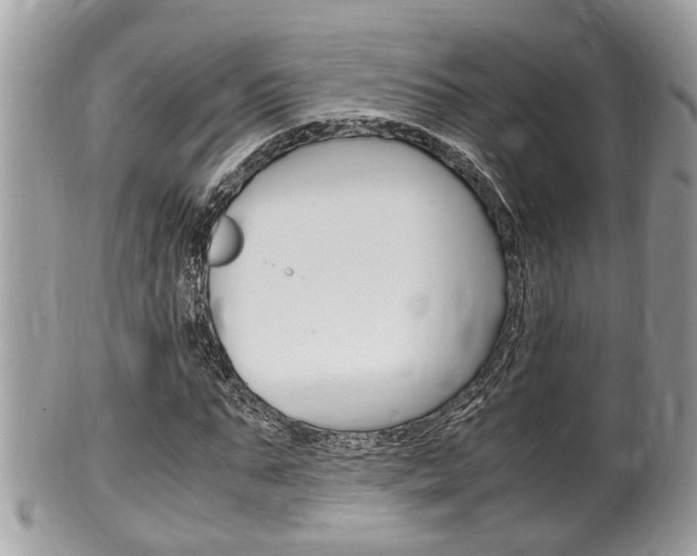 X0000100480871200806130730