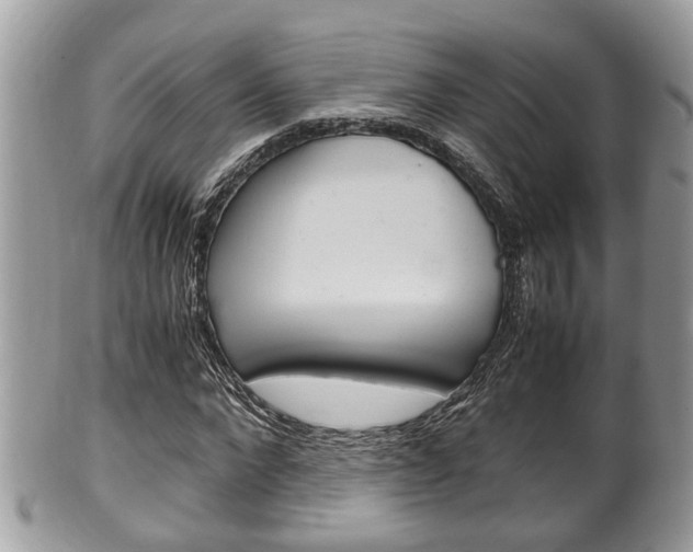 X0000100480872200806130730