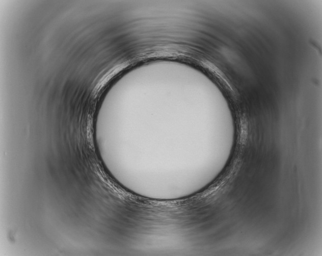 X0000100480874200806130730