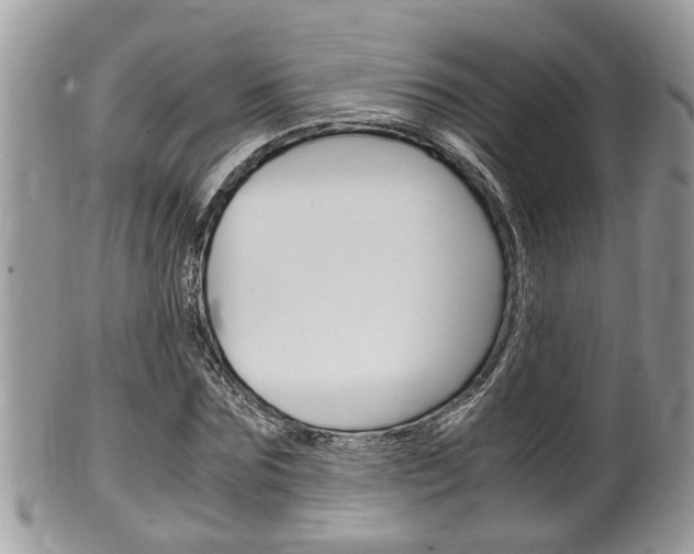 X0000100480875200806130730