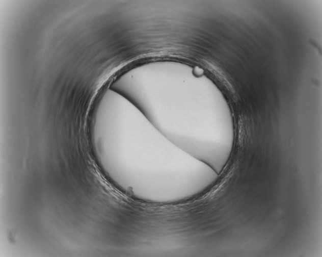 X0000100480876200806130730