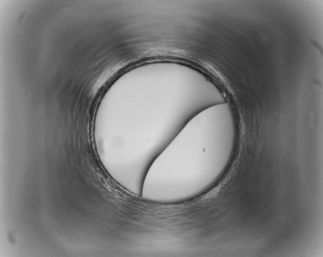 X0000100480877200806130730