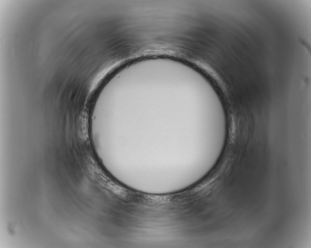 X0000100480878200806130730
