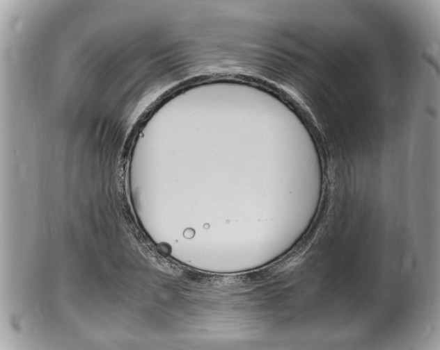 X0000100480879200806130730