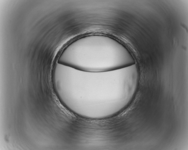 X0000100480880200806130730
