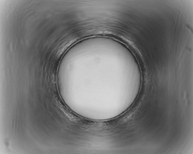 X0000100480881200806130730