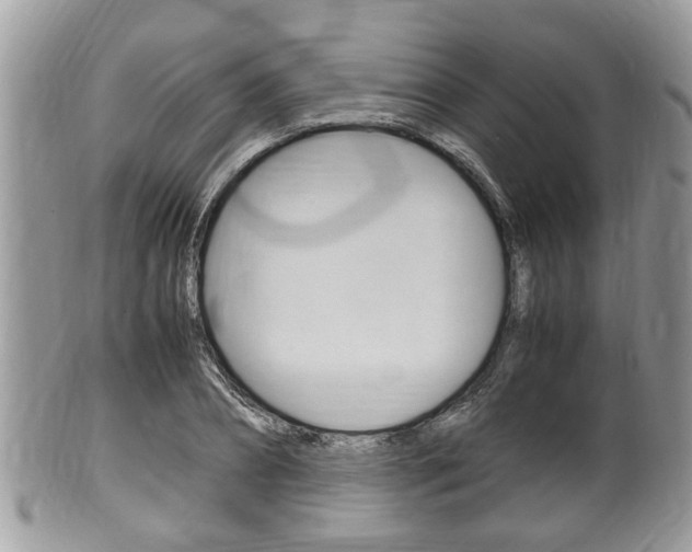 X0000100480882200806130730