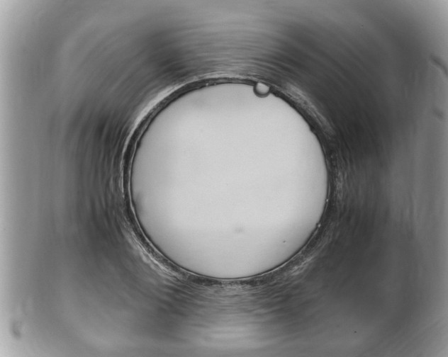 X0000100480884200806130730