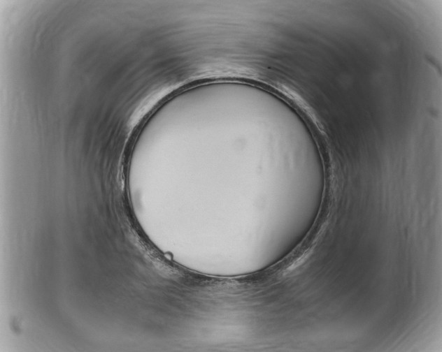 X0000100480885200806130730