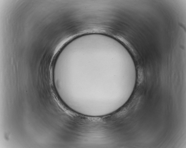 X0000100480886200806130730