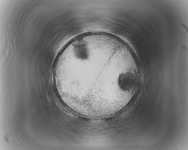 X0000100480887200806130730