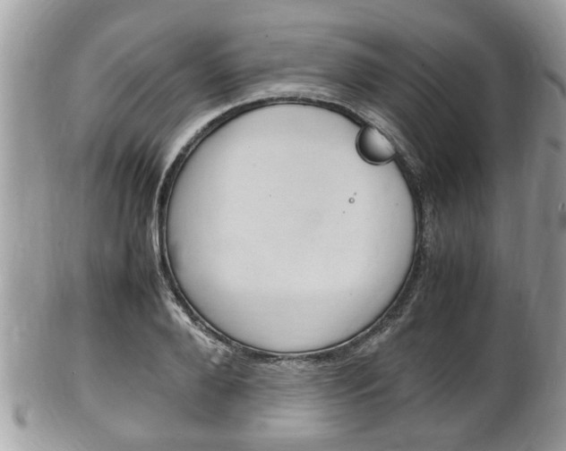 X0000100480888200806130730