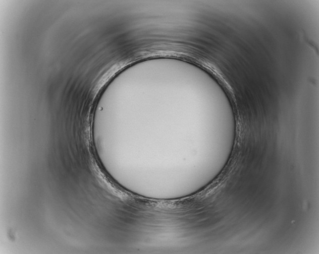 X0000100480890200806130730